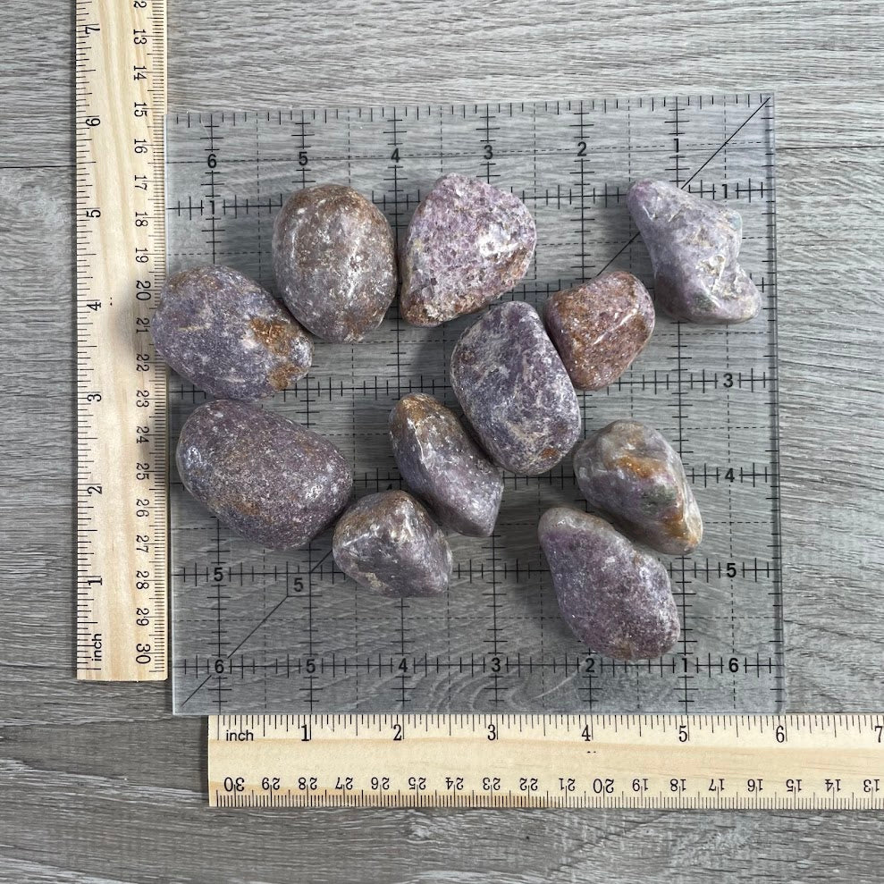Bulk Lepidolite Tumbled Stones – 1 lb Wholesale Healing Crystals for Retail