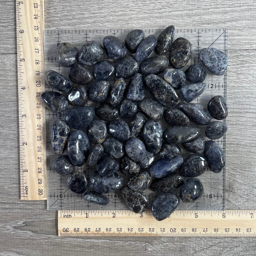 Bulk Iolite Tumbled Stones 1 LB – Natural Healing Crystals for Retail and Metaphysical Use