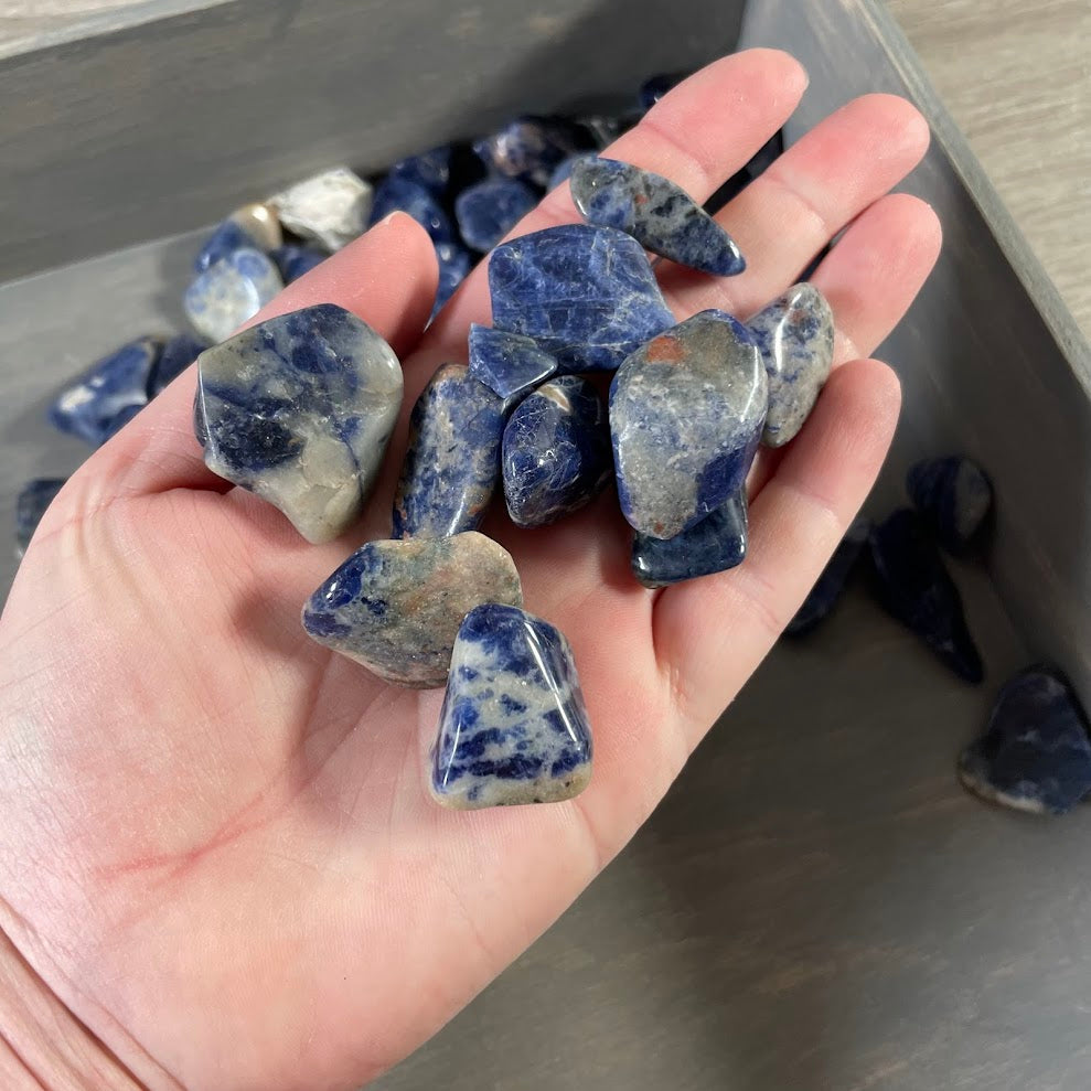 Sodalite Tumbled Stones 1 lb – Wholesale Bulk Crystal Lot