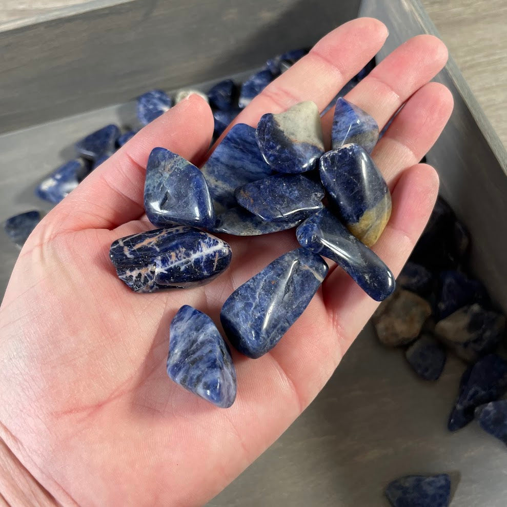 Sodalite Tumbled Stones 1 lb – Wholesale Bulk Crystal Lot