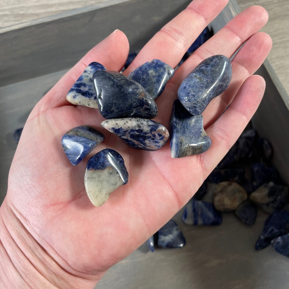 Sodalite Tumbled Stones 1 lb – Wholesale Bulk Crystal Lot