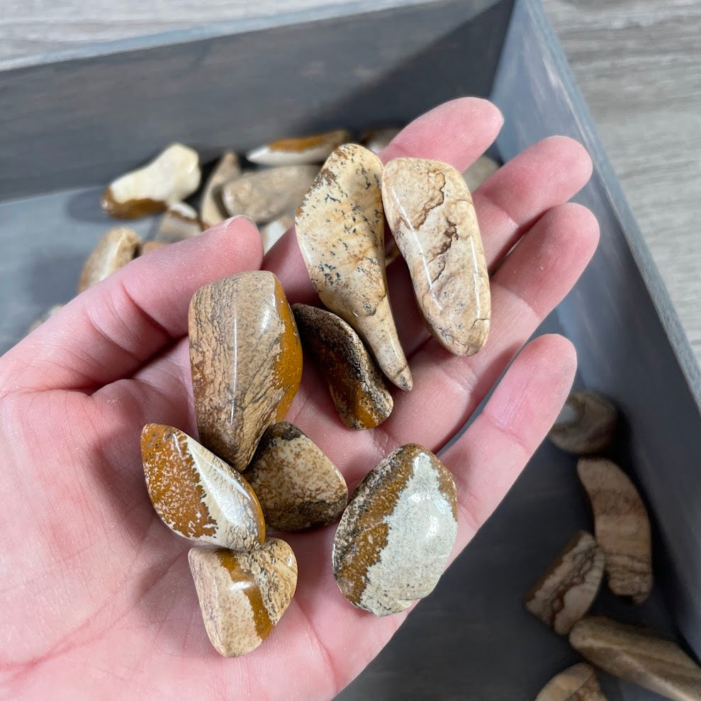 natural picture jasper polished crystals bulk wholesale