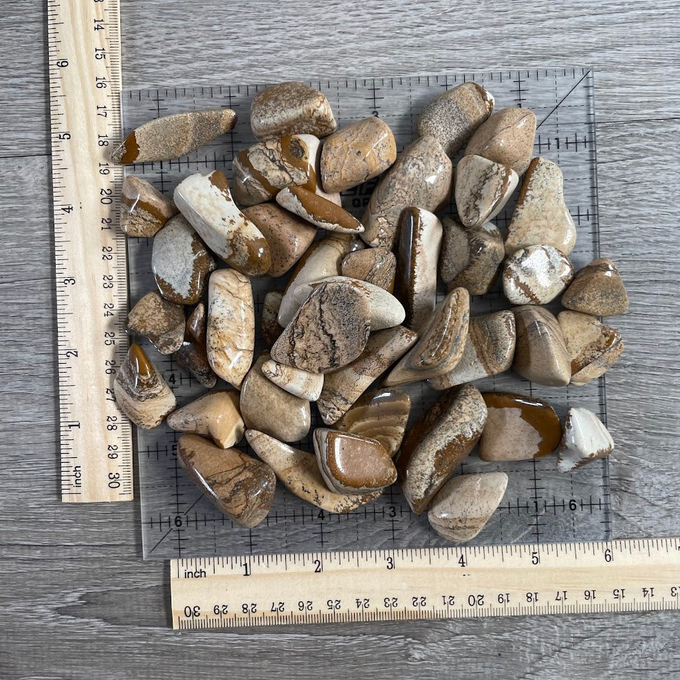Picture Jasper Tumbled Stones 1 LB Bulk Natural Healing Crystal Polished Gemstones