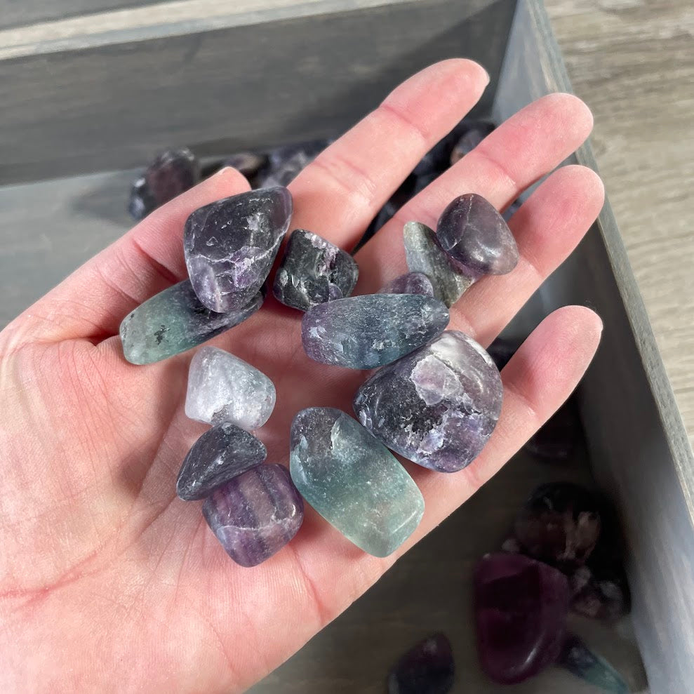 Tumbled Fluorite Stones Bulk 1 lb – Healing Crystal Assortment for Retail & Resale