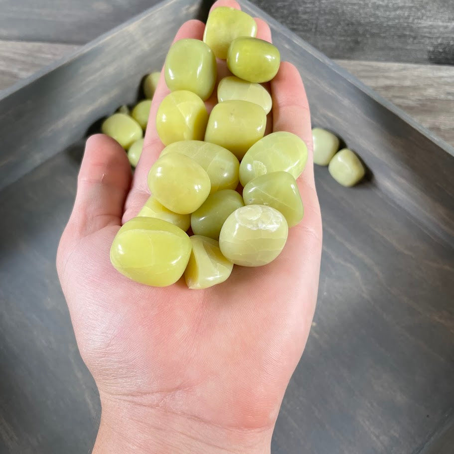 Wholesale serpentine polished stones for metaphysical shops