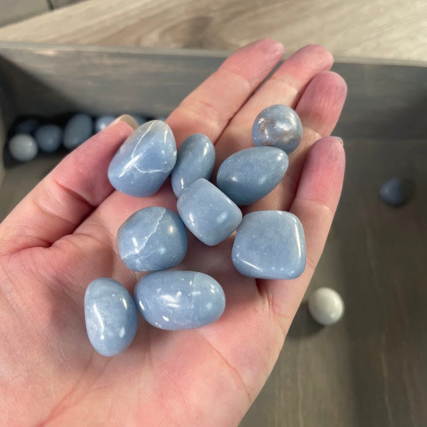 Bulk angelite 1 lb crystal stones for resale