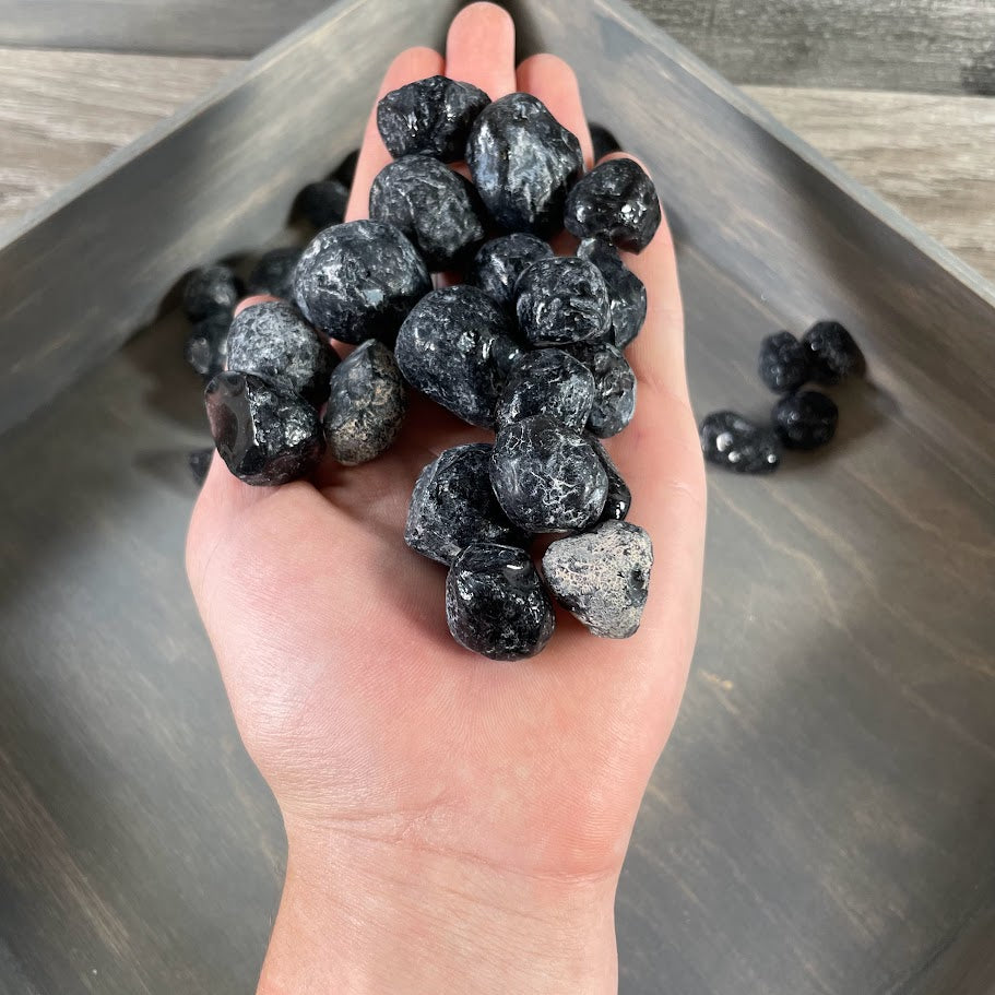 Apache Tear tumbled stones wholesale 1 lb lot