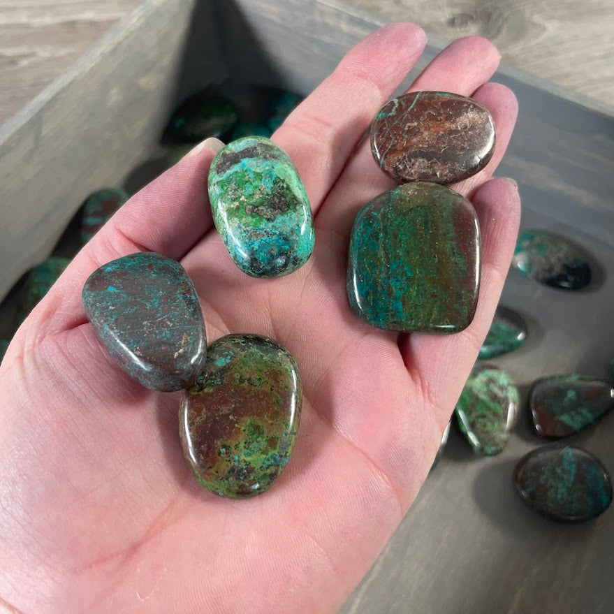 Chrysocolla tumbled flat oval stones 1 lb wholesale