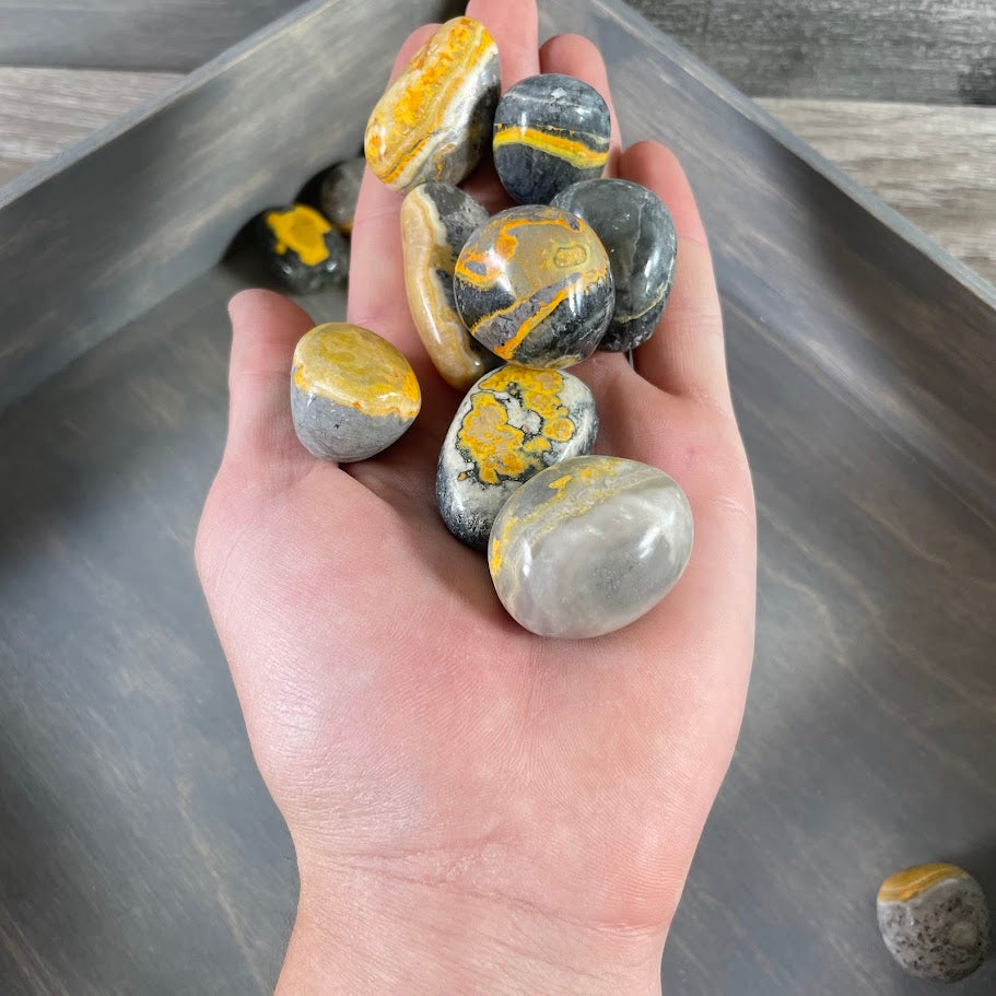Wholesale Bumblebee Jasper tumbled stones 1 lb bulk lot