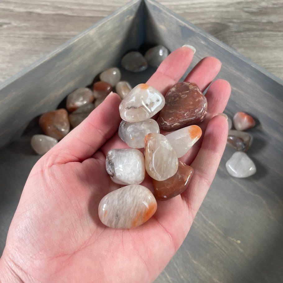Chalcedony tumbled stones in 1-pound wholesale bag