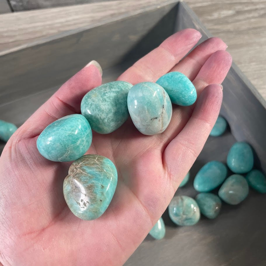 Natural Amazonite tumbled crystal pieces metaphysical supply