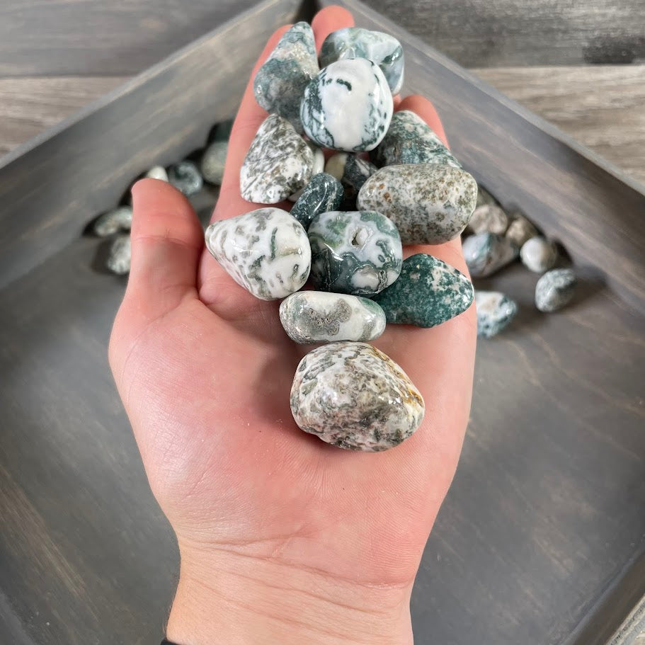Tree Agate Tumbled Stones – 1 lb Bulk Wholesale Crystal Lot