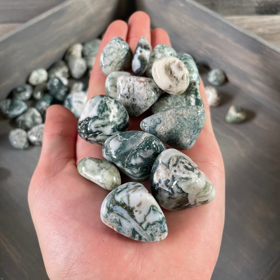 Tree Agate tumbled stones bulk lot - rock shops