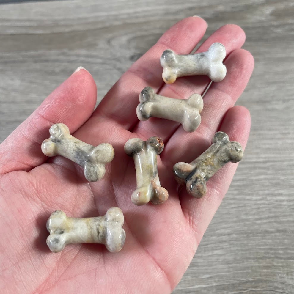 Crazy lace agate small dog bone figurine
