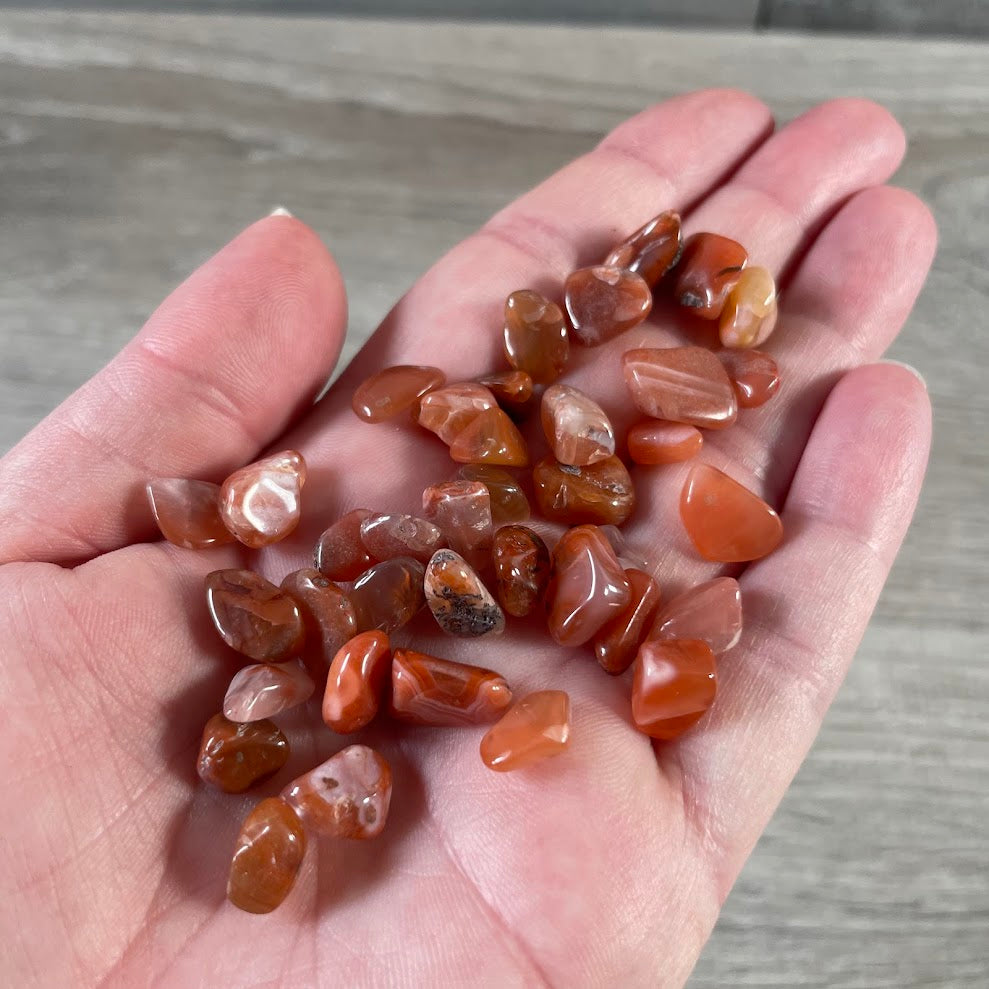 Carnelian mini chip wholesale supply