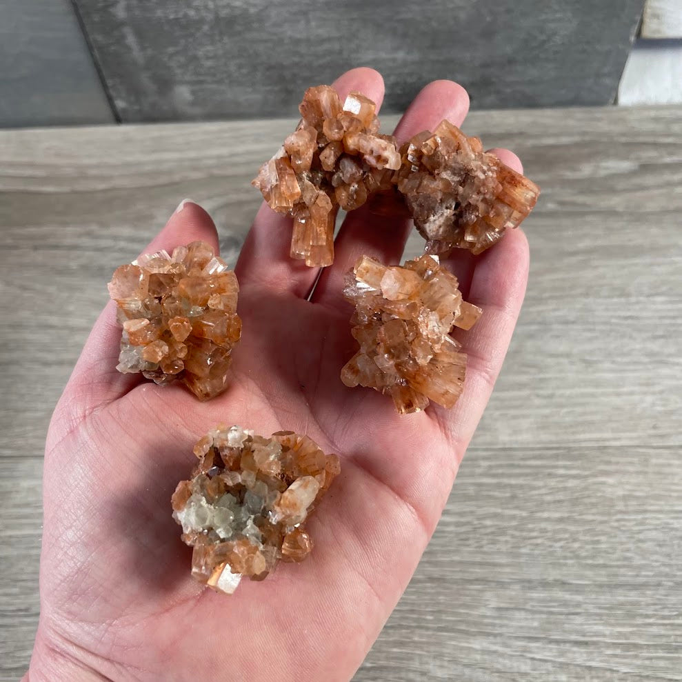 Raw aragonite specimen for crystal shop retail