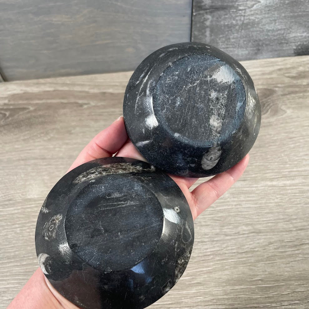 Ammonite Fossil & Gemstone Bowls in Unique Carved Shapes – Wholesale