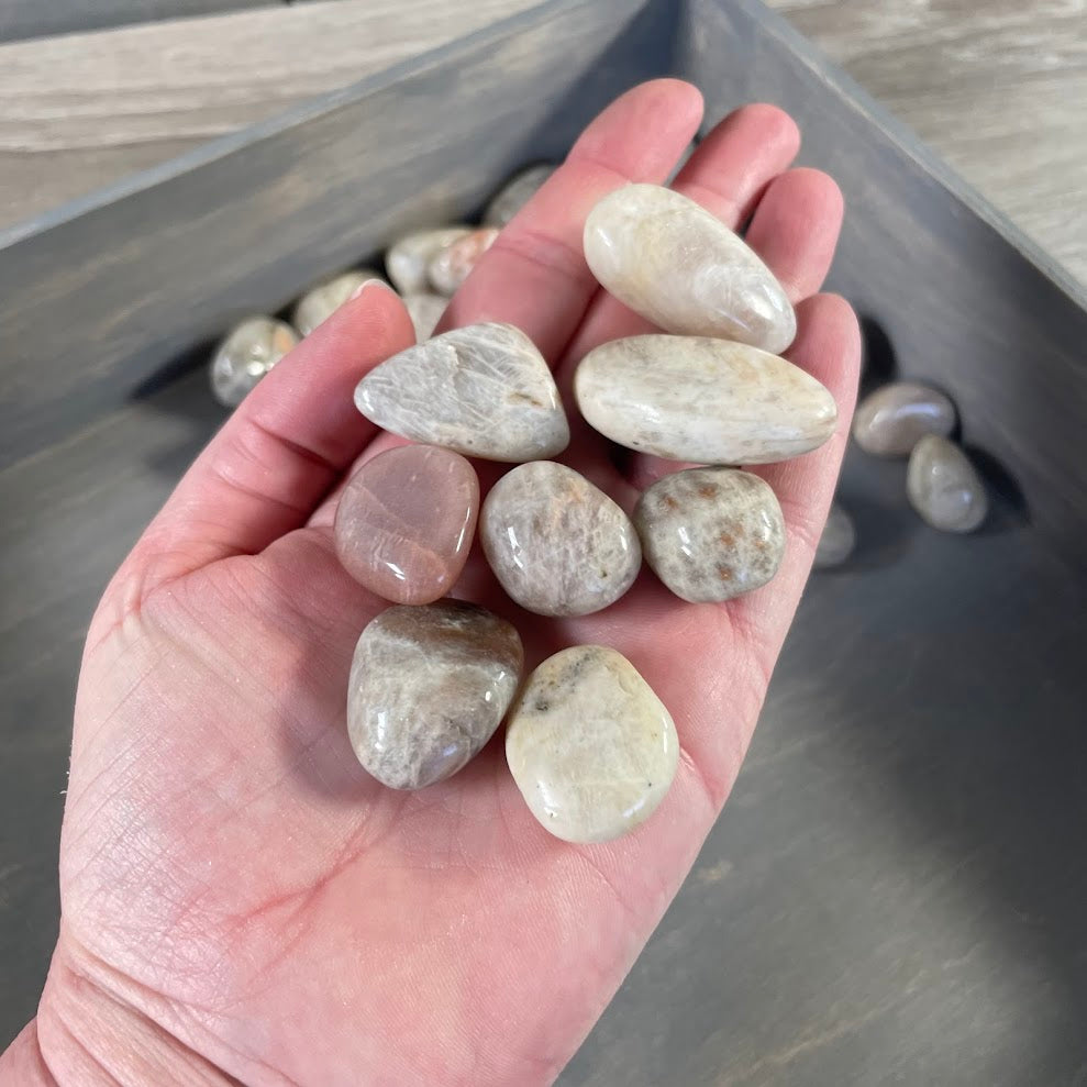 Black Moonstone Tumbled 1LB Lot