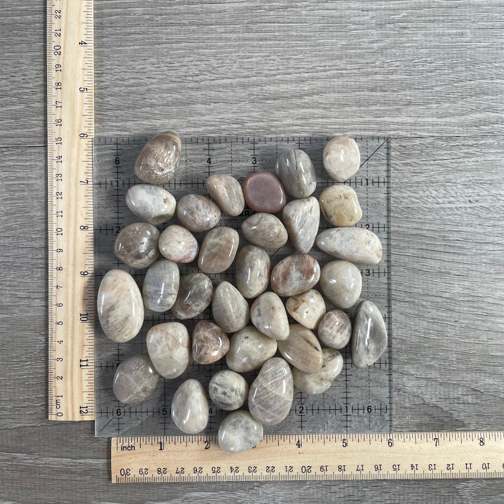 Black Moonstone Tumbled 1LB Lot