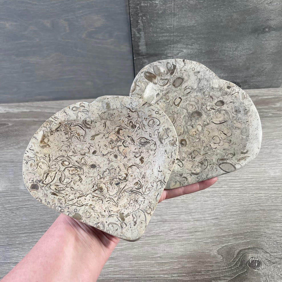 Ammonite Fossil & Gemstone Bowls in Unique Carved Shapes – Wholesale