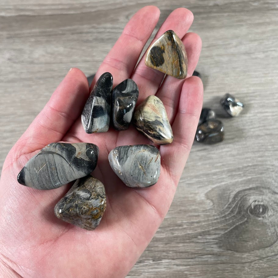 Silver Leaf Jasper small tumbled stones in bulk for wholesale crystal retailers and metaphysical shops