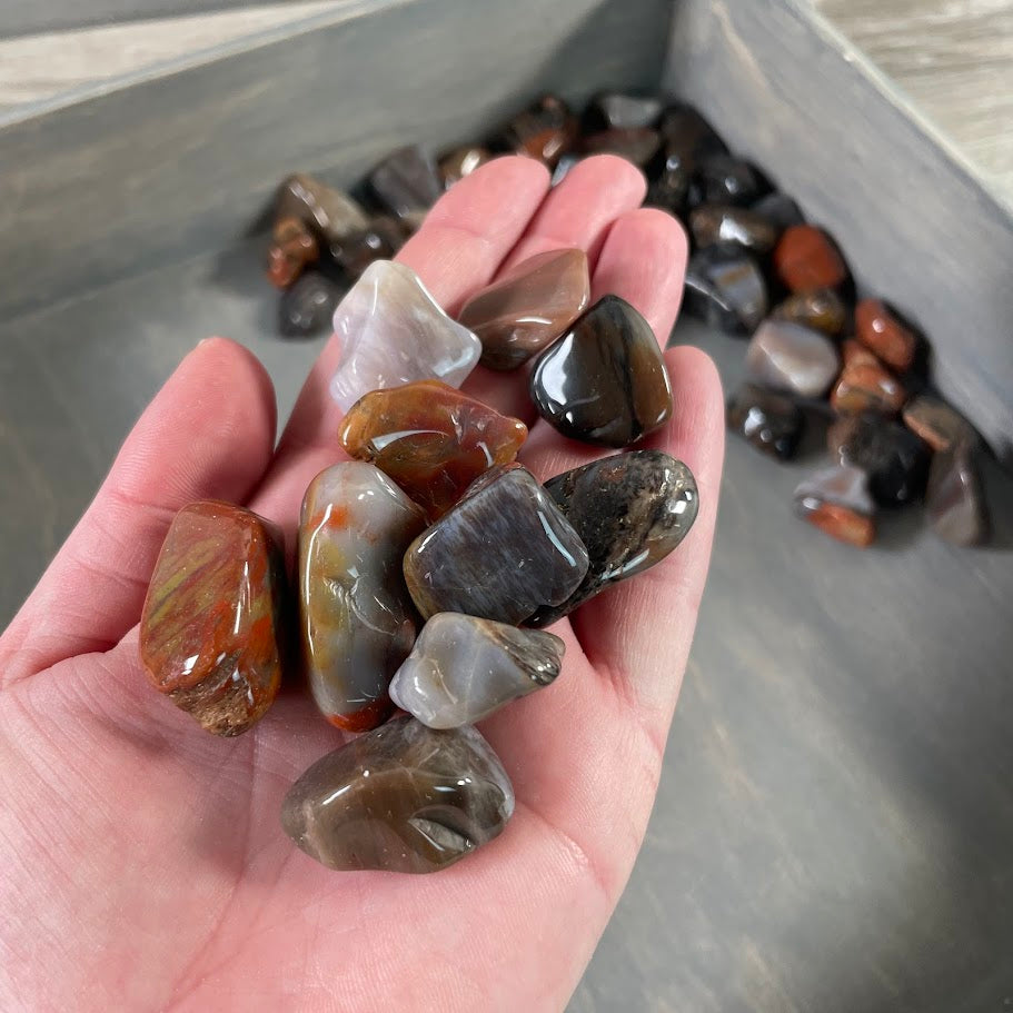 Petrified Wood tumbled stones 1 lb bulk lot for wholesale