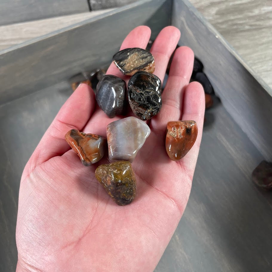 Wholesale fossil tumbled stones for metaphysical stores

