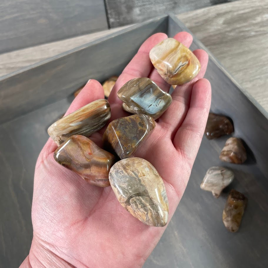 Wholesale fossilized wood crystals polished and smooth