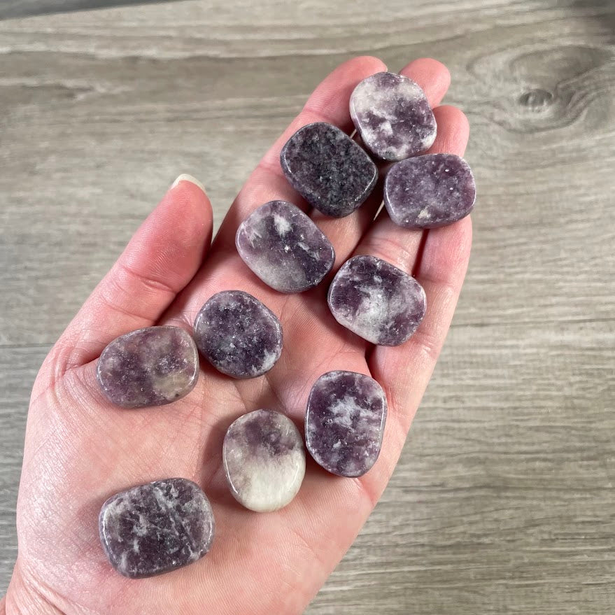 Bulk Gemstone Oval Flat Disks for Crystal Shops, Reiki, Chakra & Metaphysical Retail
