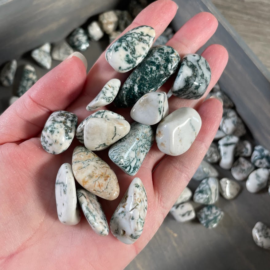 Tree Agate gemstone chips for crystal grids, jewelry making, and resale displays