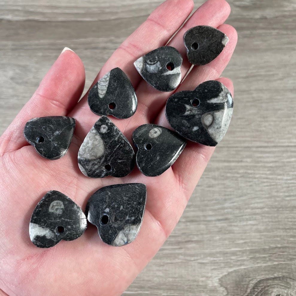 Natural fossil gemstone bead carved into a heart shape