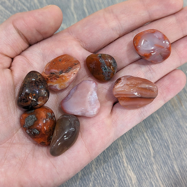Red Agate Tumbled 1 Lb