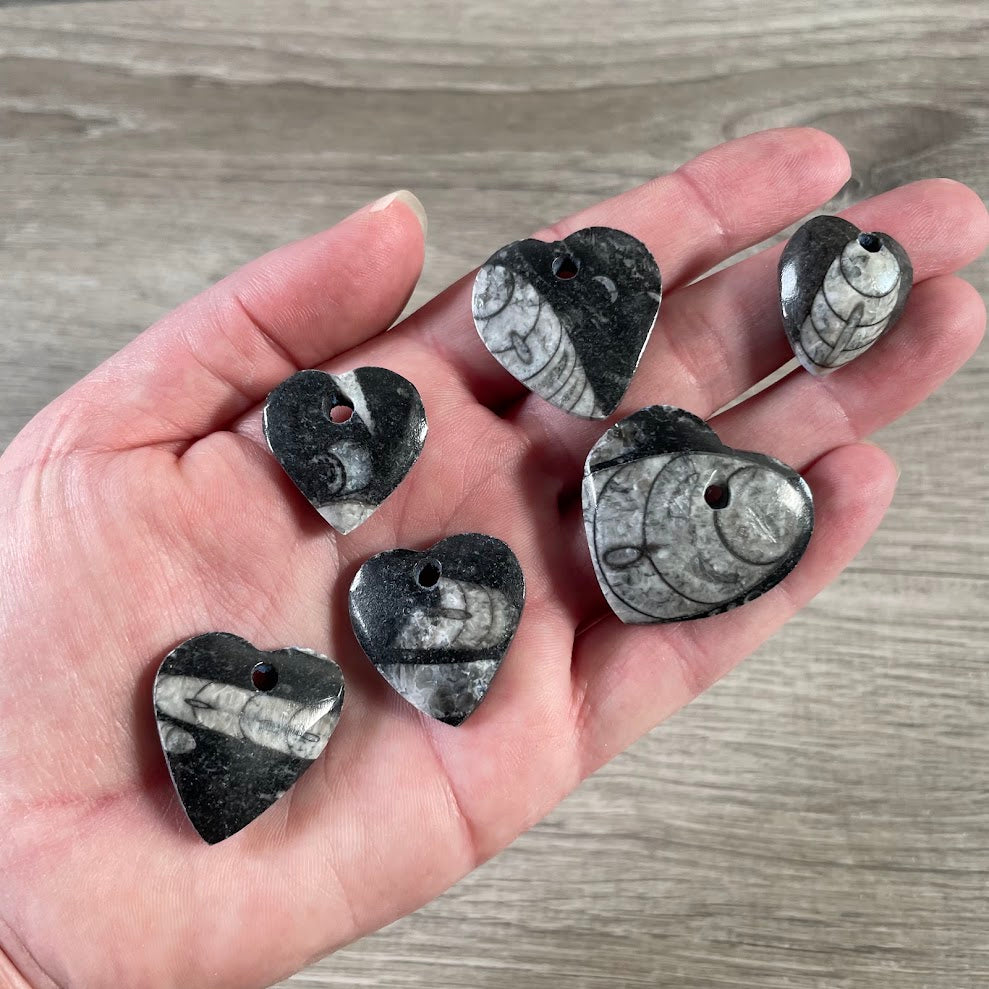 Wholesale black and gray heart shaped fossil bead for crystal jewelry supplies