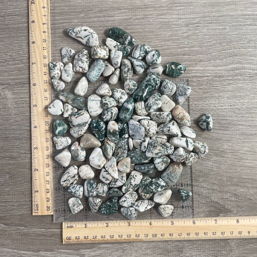 Bulk Tree Agate polished gemstones with green and white natural patterns