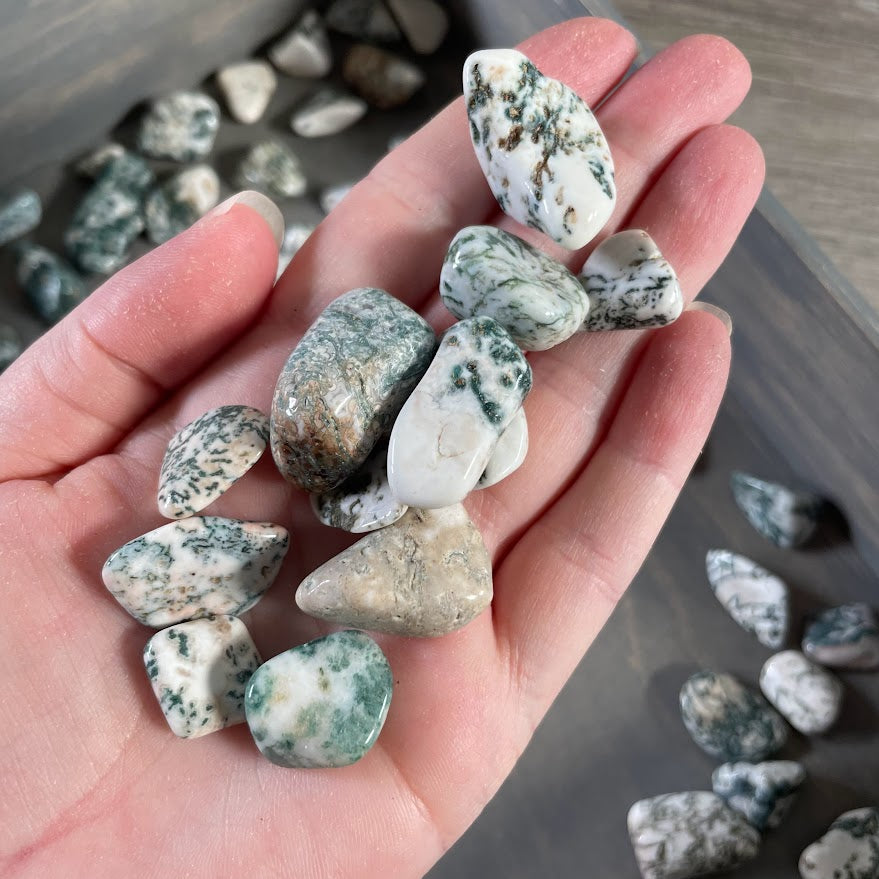 Wholesale Tree Agate tumbled stones for Reiki, crafts, and metaphysical retail