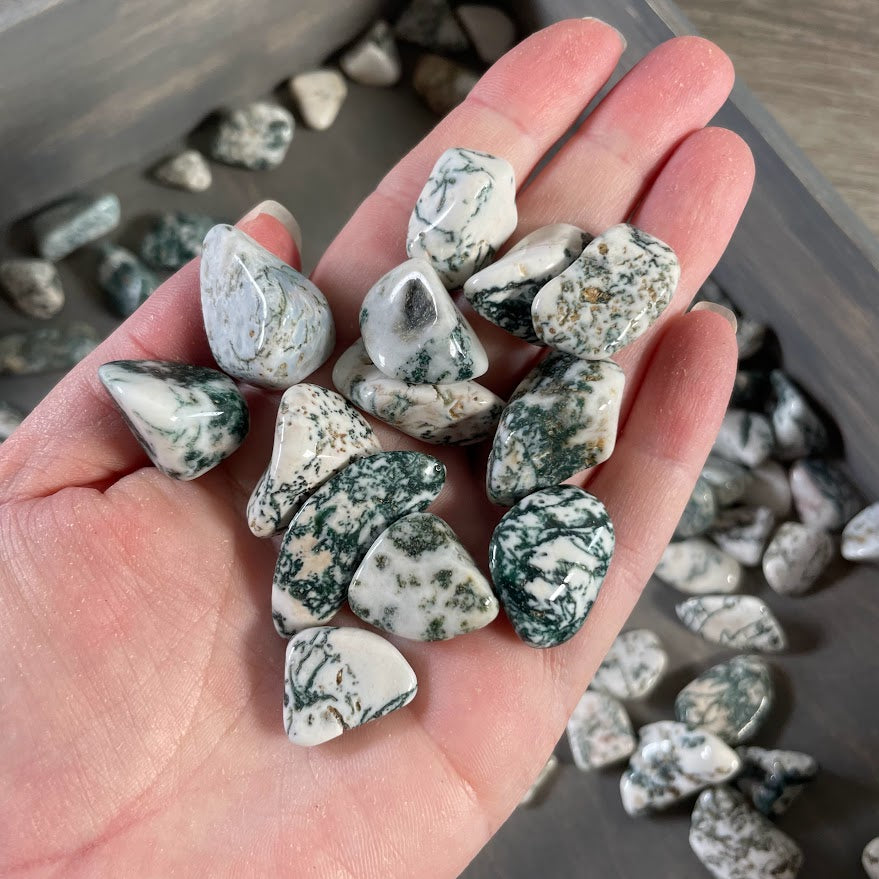 Green and white Tree Agate tumbled stones for metaphysical store inventory