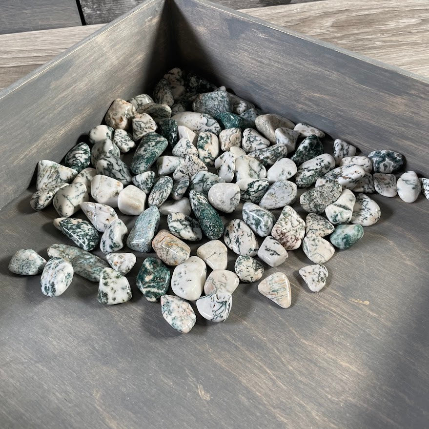 Polished Tree Agate stones in 1 lb bag for crystal shop scoop bins