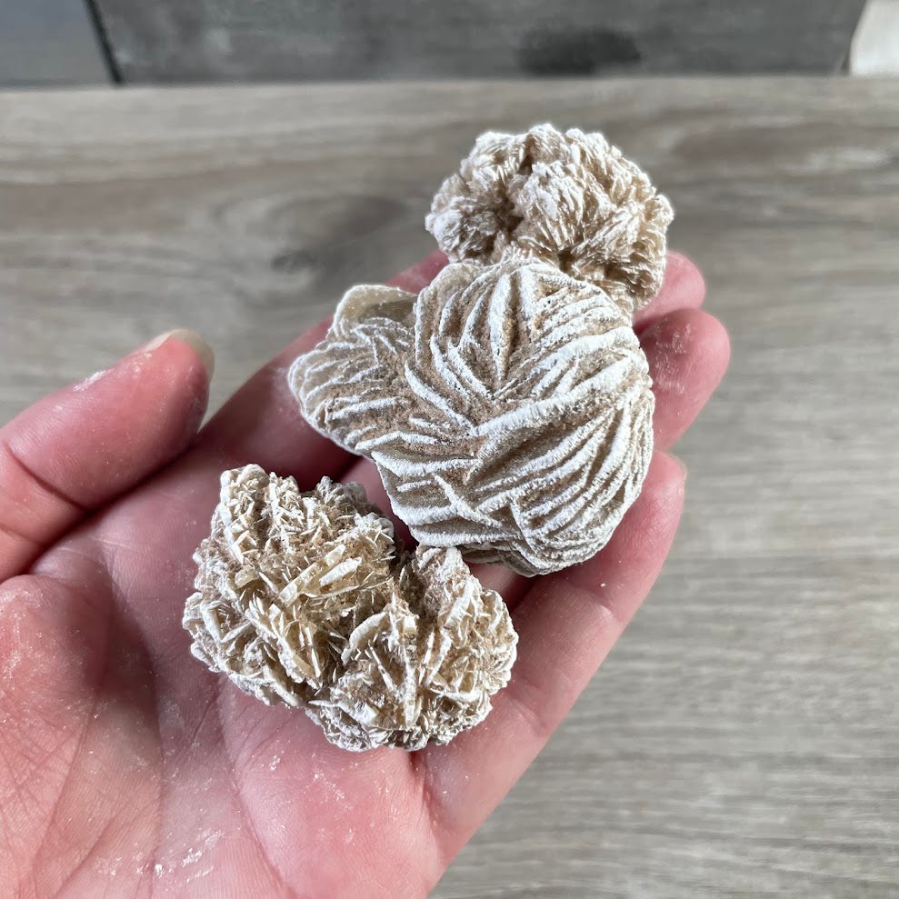 Desert rose mineral specimen for rock and crystal collectors