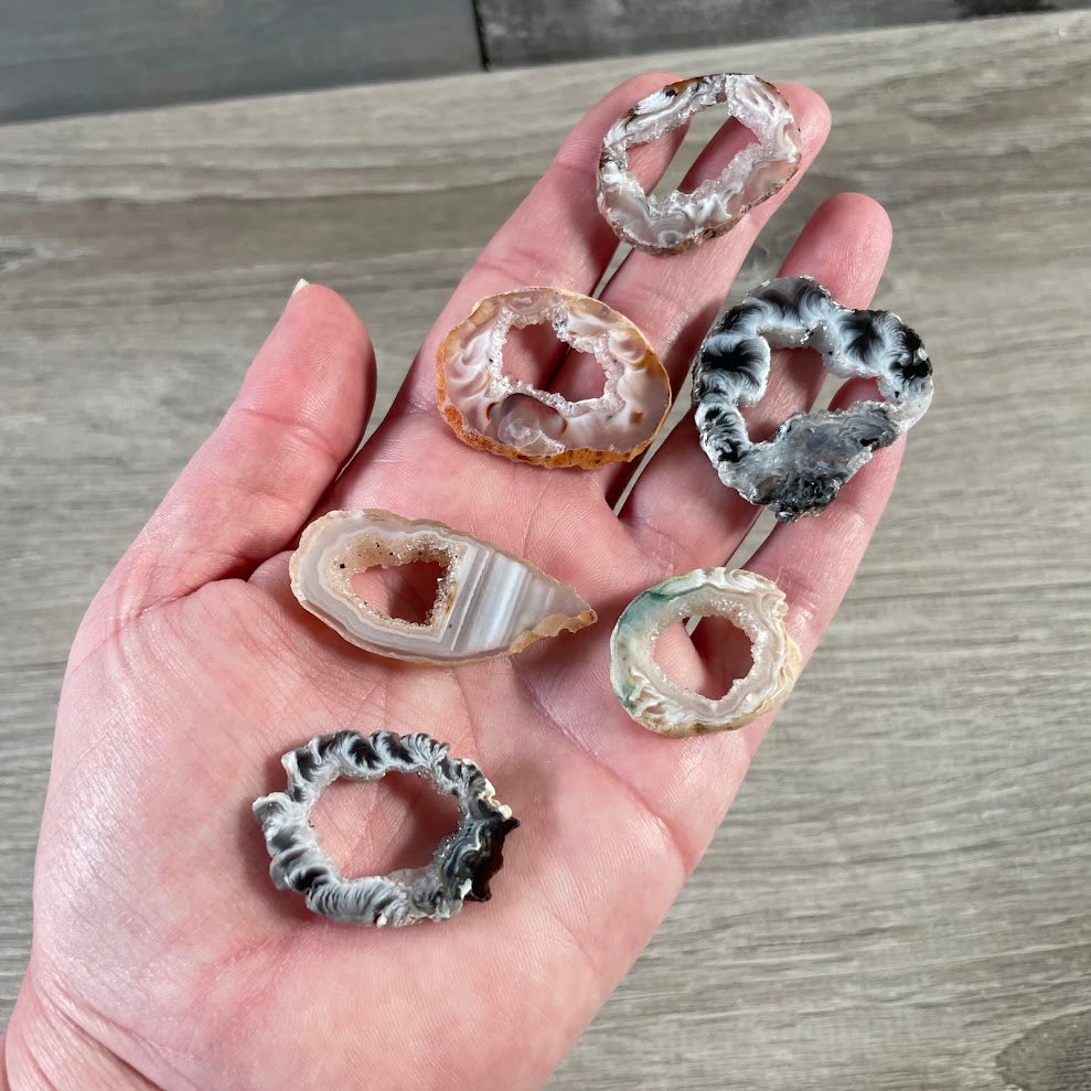 Polished geode slices with sparkling druzy quartz crystal interiors
