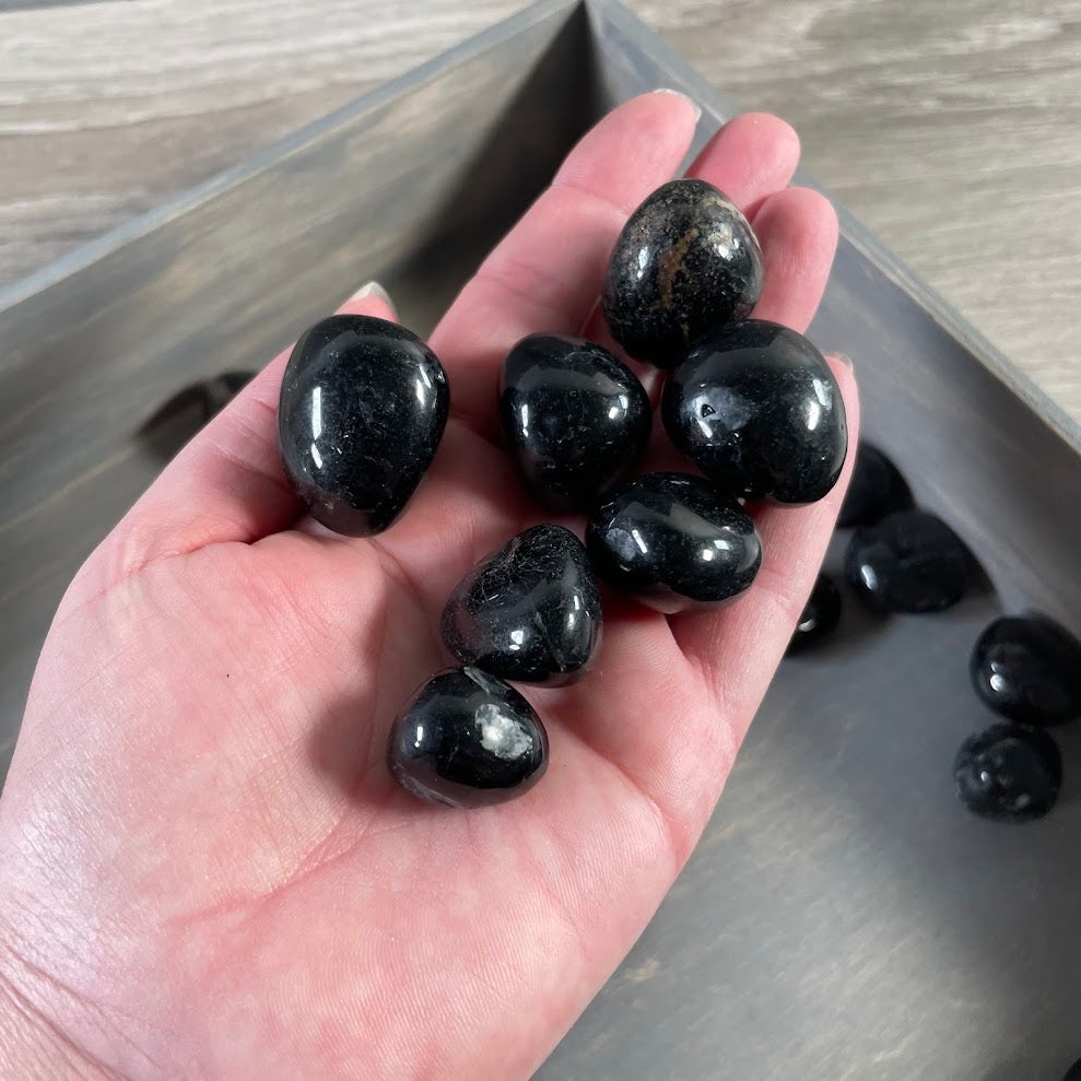 One pound lot of natural black tourmaline tumbled stones for metaphysical store supplies