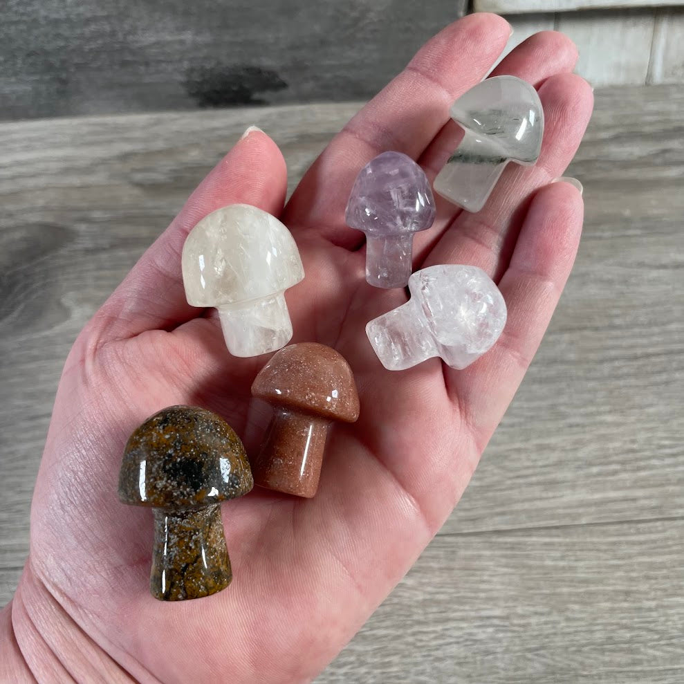 Wholesale Brazilian assorted  hand carved gemstone mushroom figurines medium size