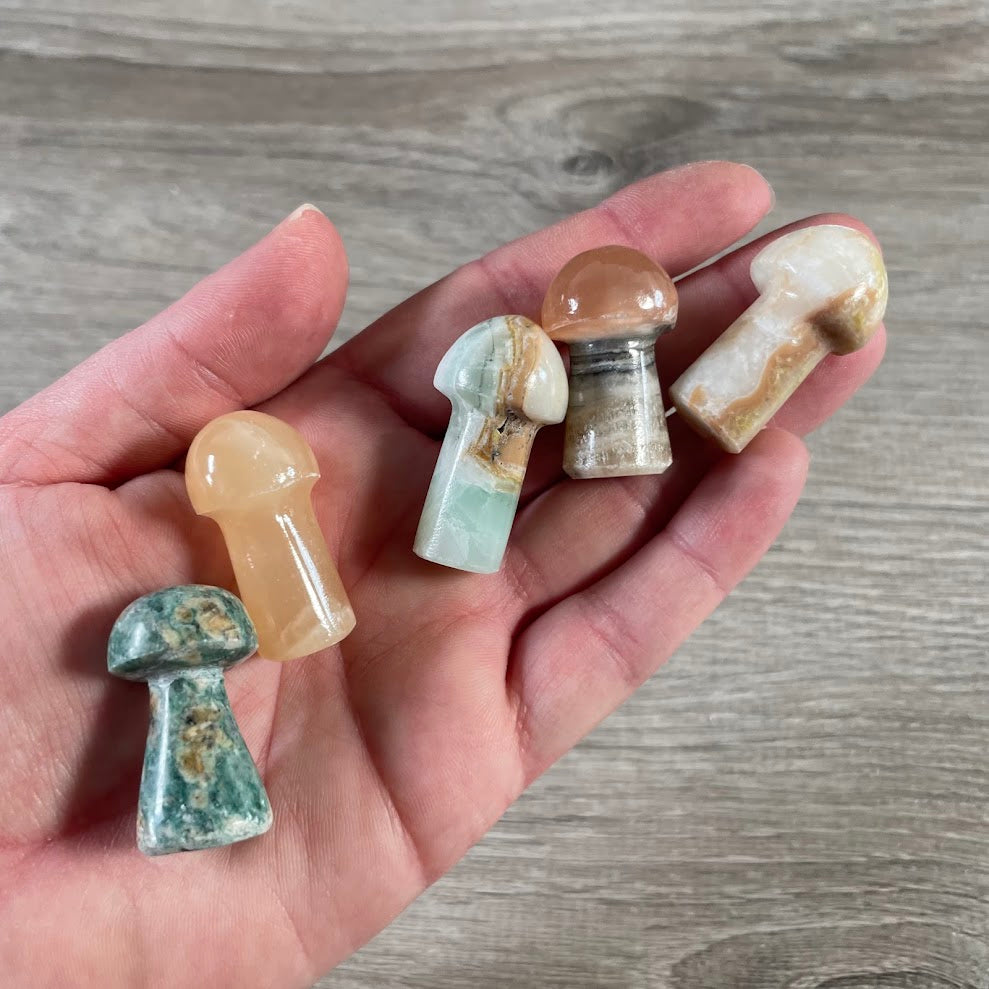 Assorted stone mushroom medium carved  figurines or plant shops