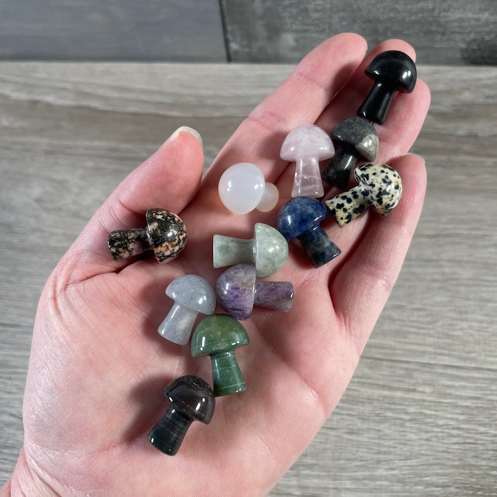 Assorted stone mushroom collectible for nature-inspired retail displays
