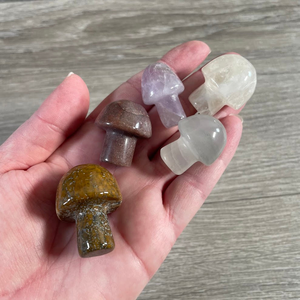 assorted hand carved gemstone mushrooms wholesale crystal shop supply