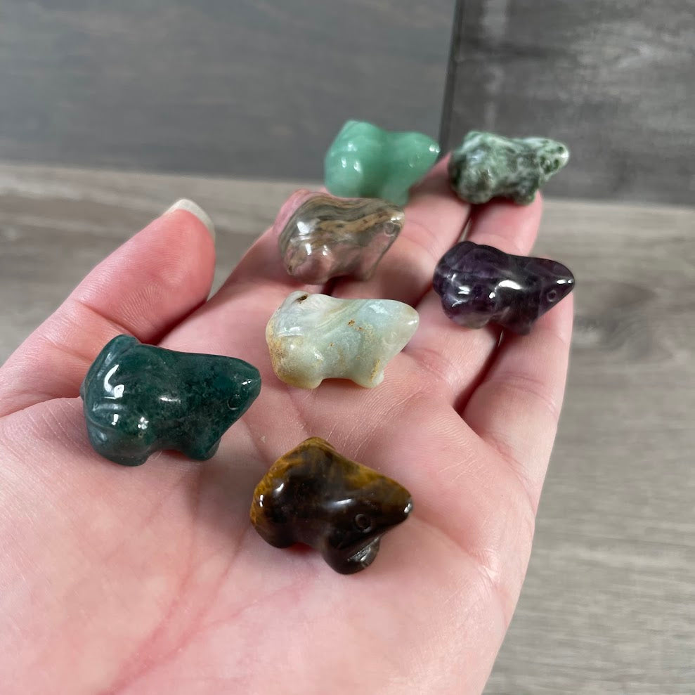 Assorted gemstone frog carvings for metaphysical retailers