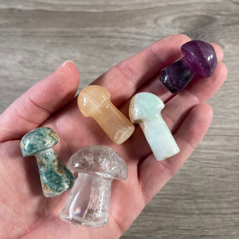 Assorted gemstone mushroom carving polished crystal figurine
