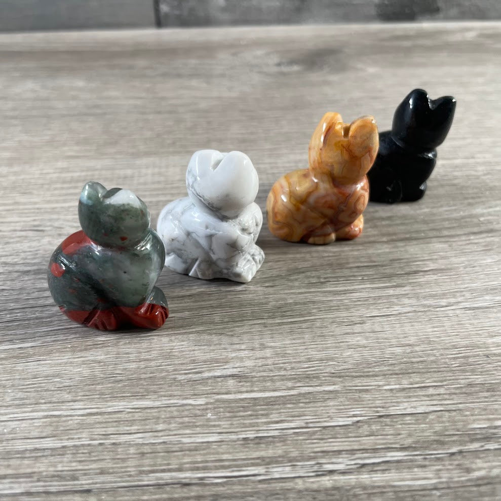 assorted medium back side of cat figurines