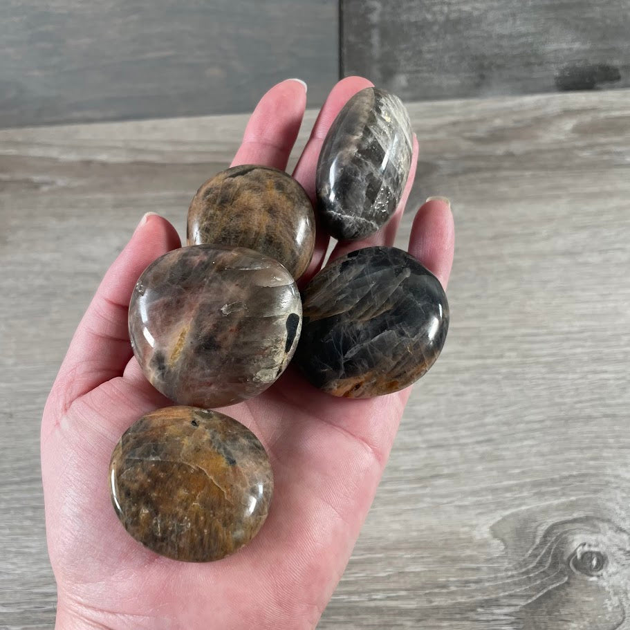 metaphysical shop supplies - black moonsone palm stones