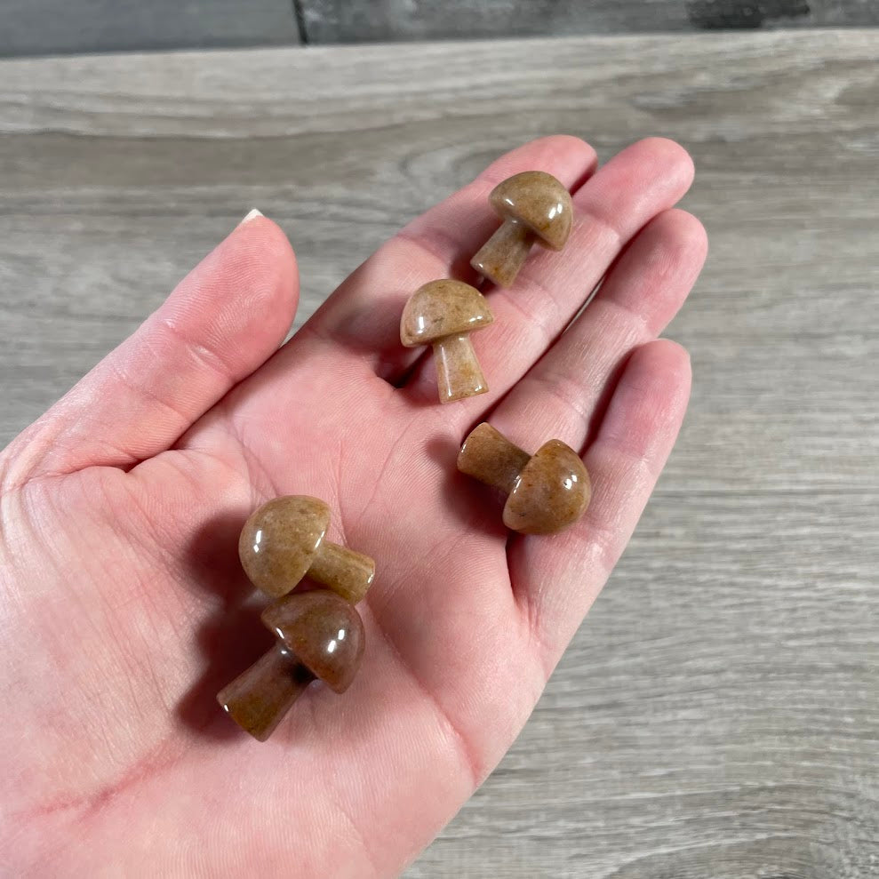 Brown aventurine small carved gemstone mushroom for metaphysical and crystal stores