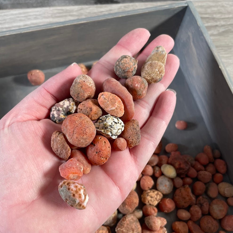 Raw carnelian stones wholesale one pound crystal lot